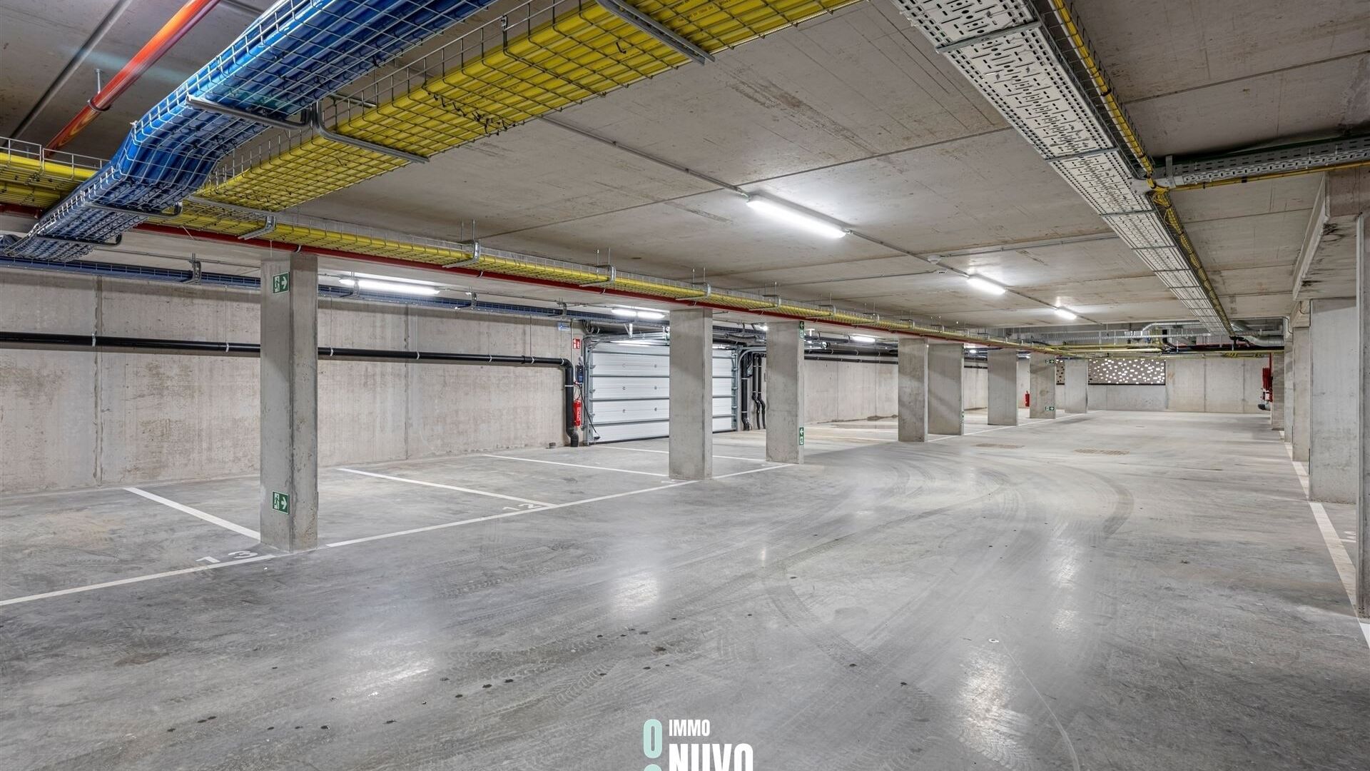 Vallei Houtkauter &agrave; LIEDEKERKE