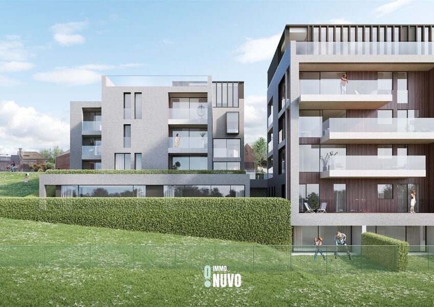 Vallei Houtkauter à LIEDEKERKE