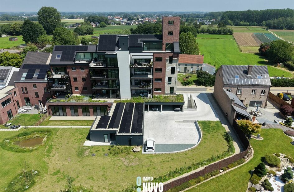 Appartement vente sur plan à louer à BAARDEGEM