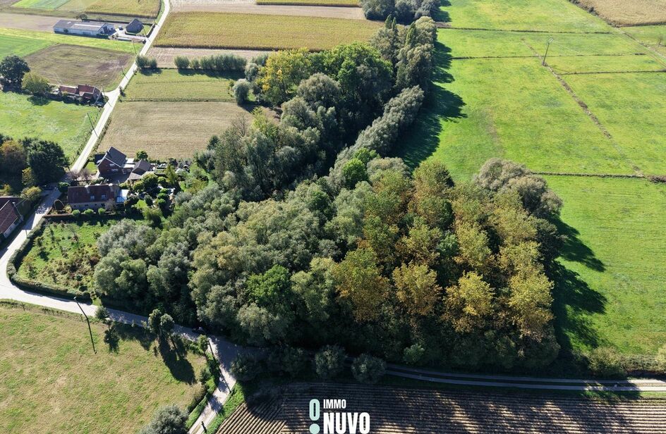 Bos te koop in Asse