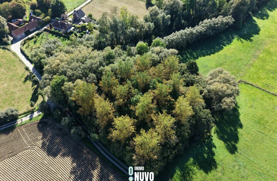 Bos te koop in Asse
