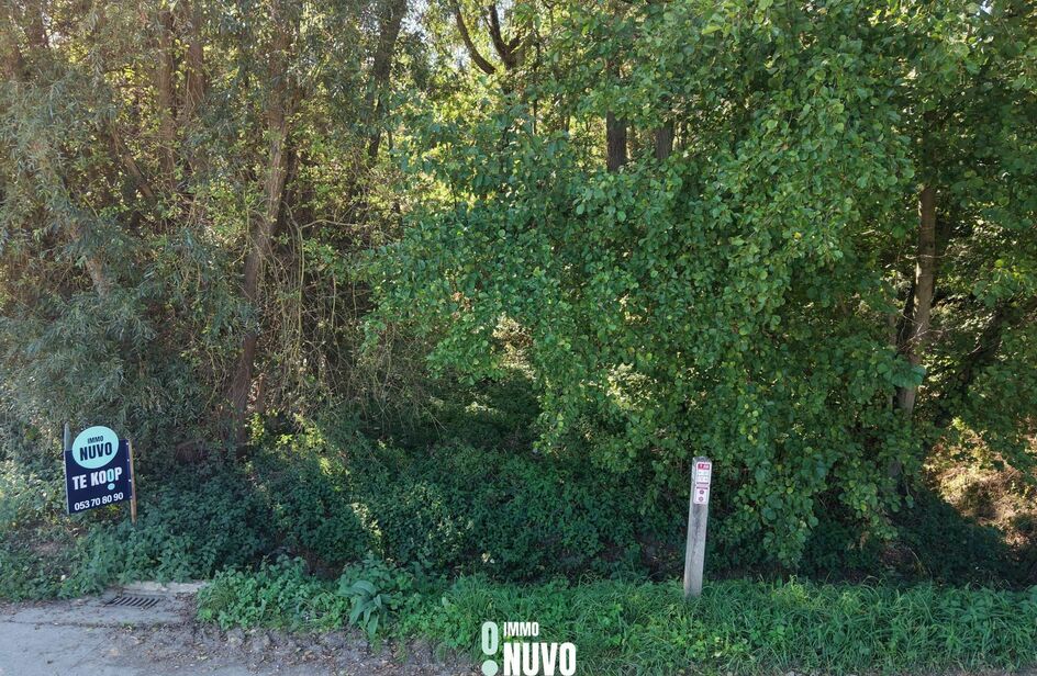 Bos te koop in Asse