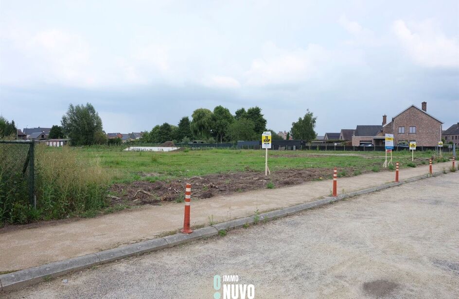 Bouwgrond te koop in WICHELEN
