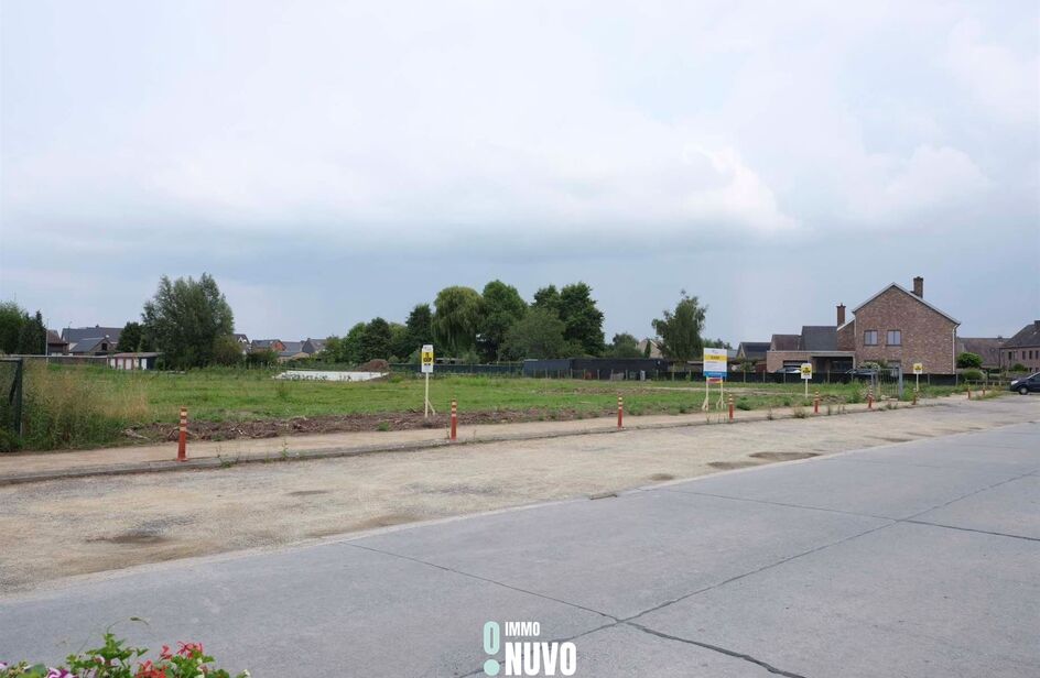 Bouwgrond te koop in WICHELEN