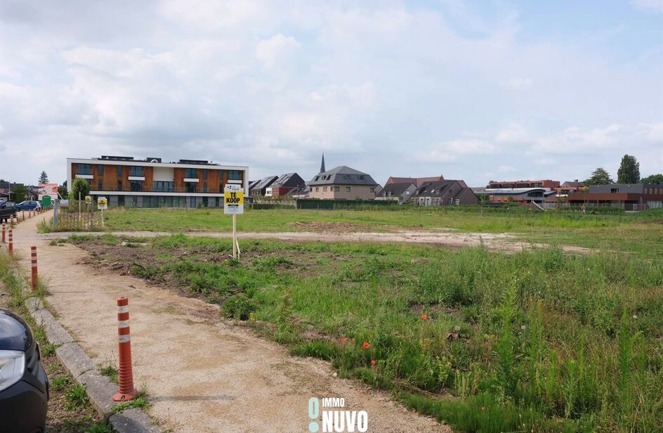 Bouwgrond te koop in WICHELEN