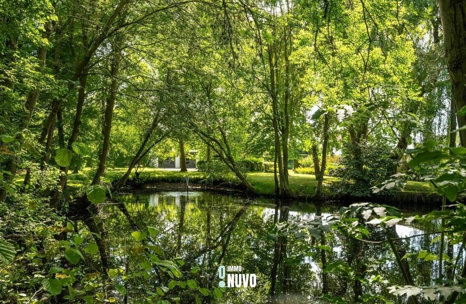 Buitengewoon huis te koop in HOFSTADE
