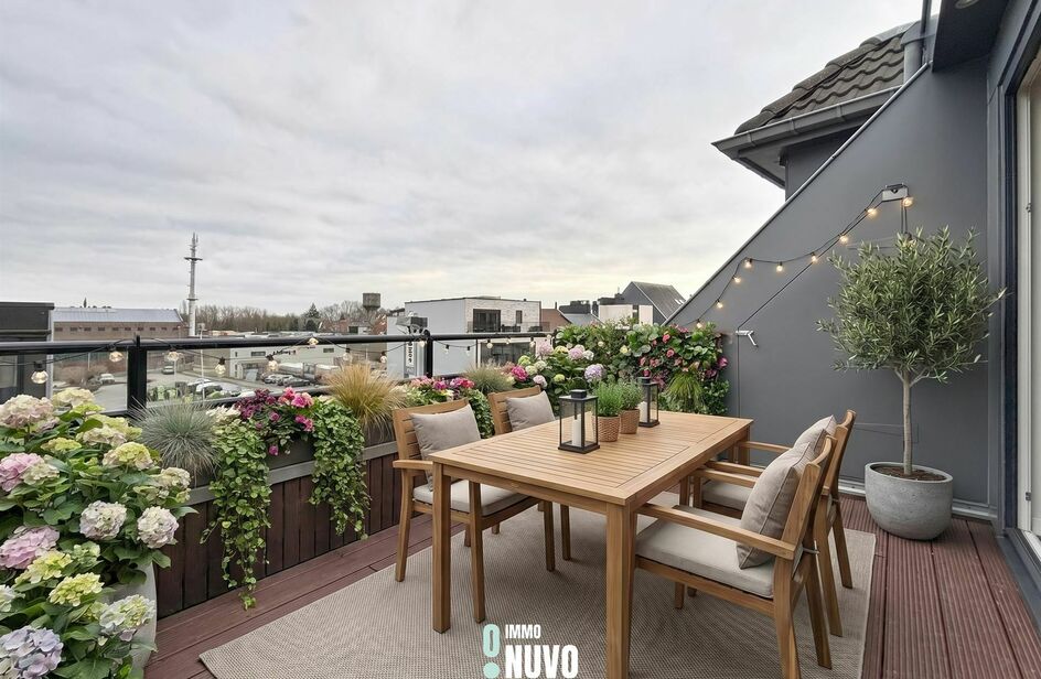 Duplex/Penthouse &agrave; vendre &agrave; DENDERMONDE