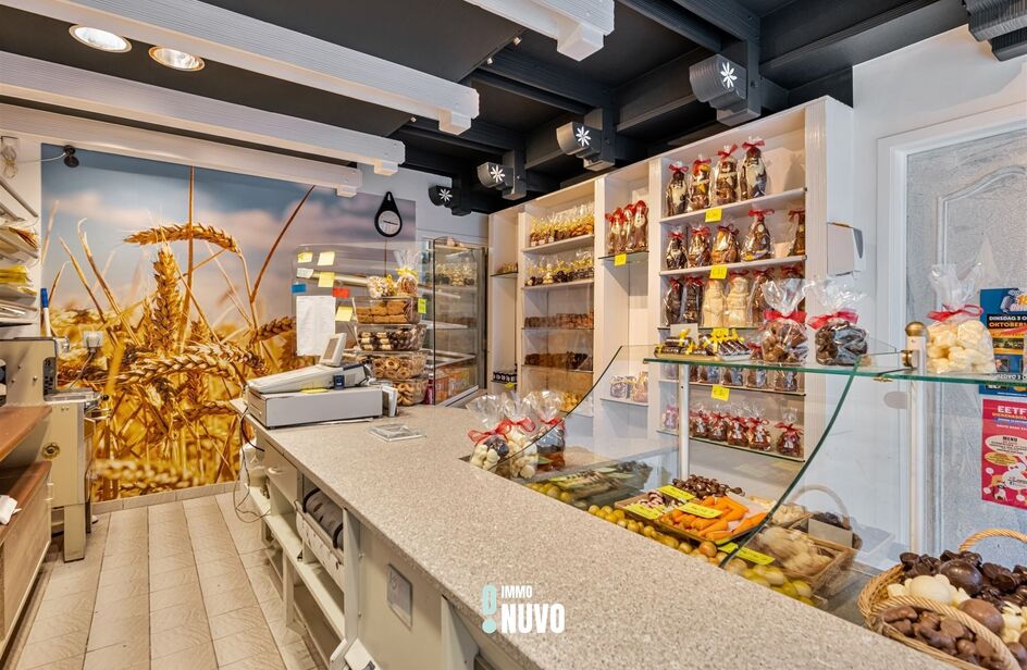 Immeuble commercial avec habitation &agrave; vendre &agrave; AALST