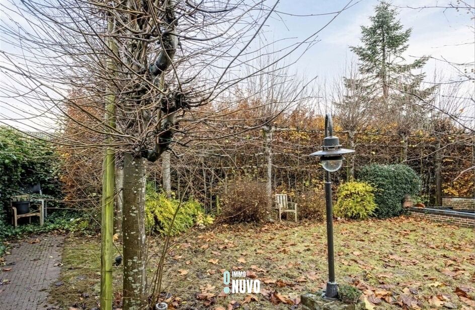  à vendre à OPWIJK