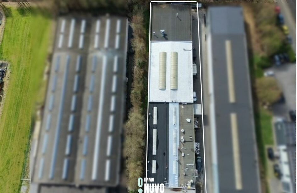 Industriel à louer à ERPE-MERE