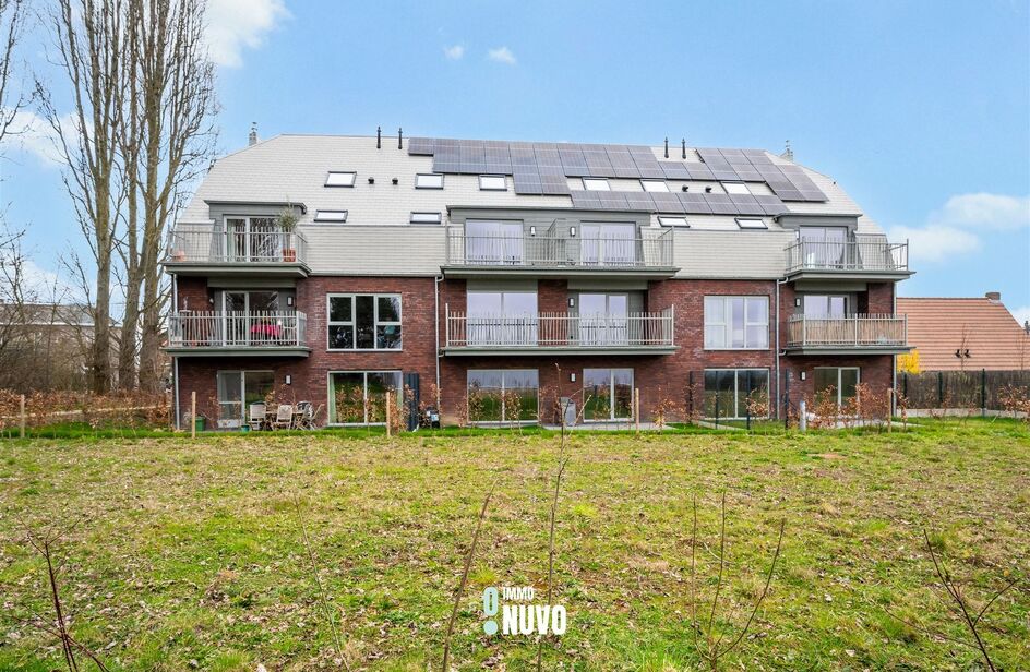 Kelder te koop in EREMBODEGEM