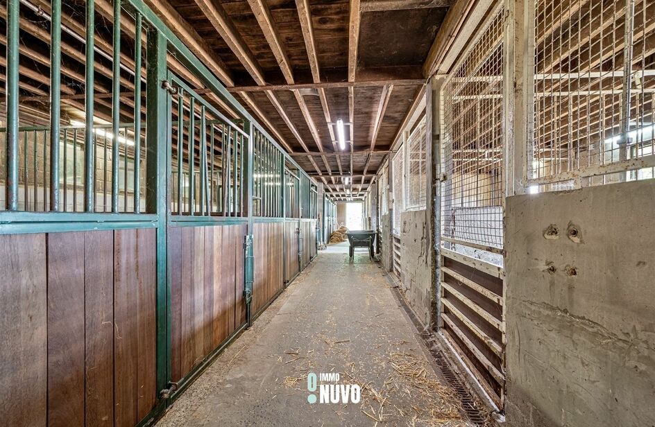 Landelijke woning te koop in MERCHTEM