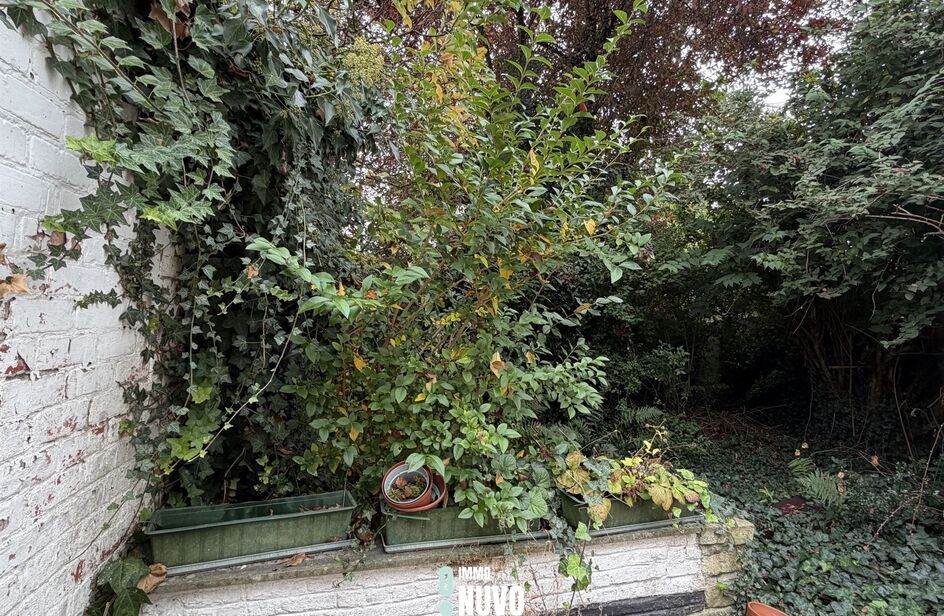 Maison à vendre à AALST