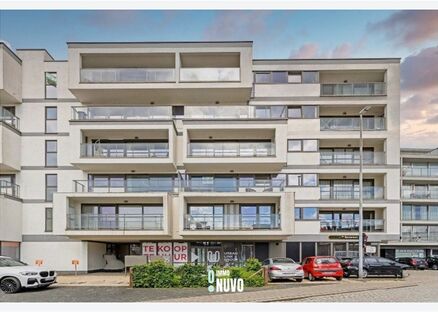 Appartement te huur in DENDERLEEUW