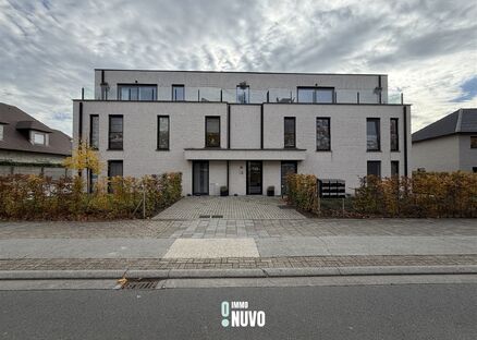 Flat/studio &agrave; louer &agrave; AALST