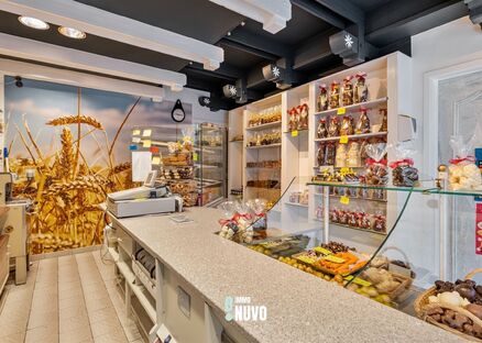 Handelspand met woonst te koop in AALST