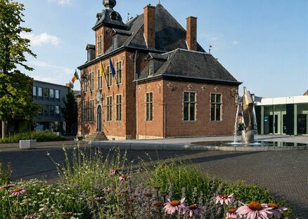 Kasteel te koop in TERNAT