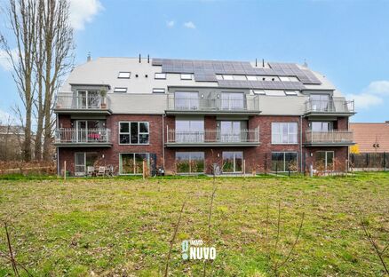 Kelder te koop in EREMBODEGEM