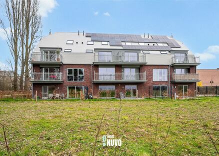Kelder te koop in EREMBODEGEM