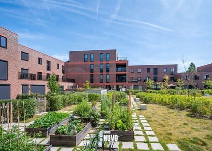 Penthouse &agrave; vendre &agrave; AALST